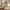 CozyVianno mirrors — decorative wall mirror and full-length mirror in modern home interior