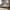 Modern Gray Upholstered Bed Frame with Gold Metal – King Size