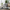 Mid-Century Modern Accent Chair