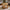 Round Wooden Coffee Table with Storage Shelf – 27.6"